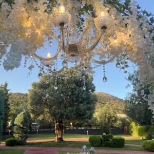 media\acfgallery\content\1\4\image00015_original